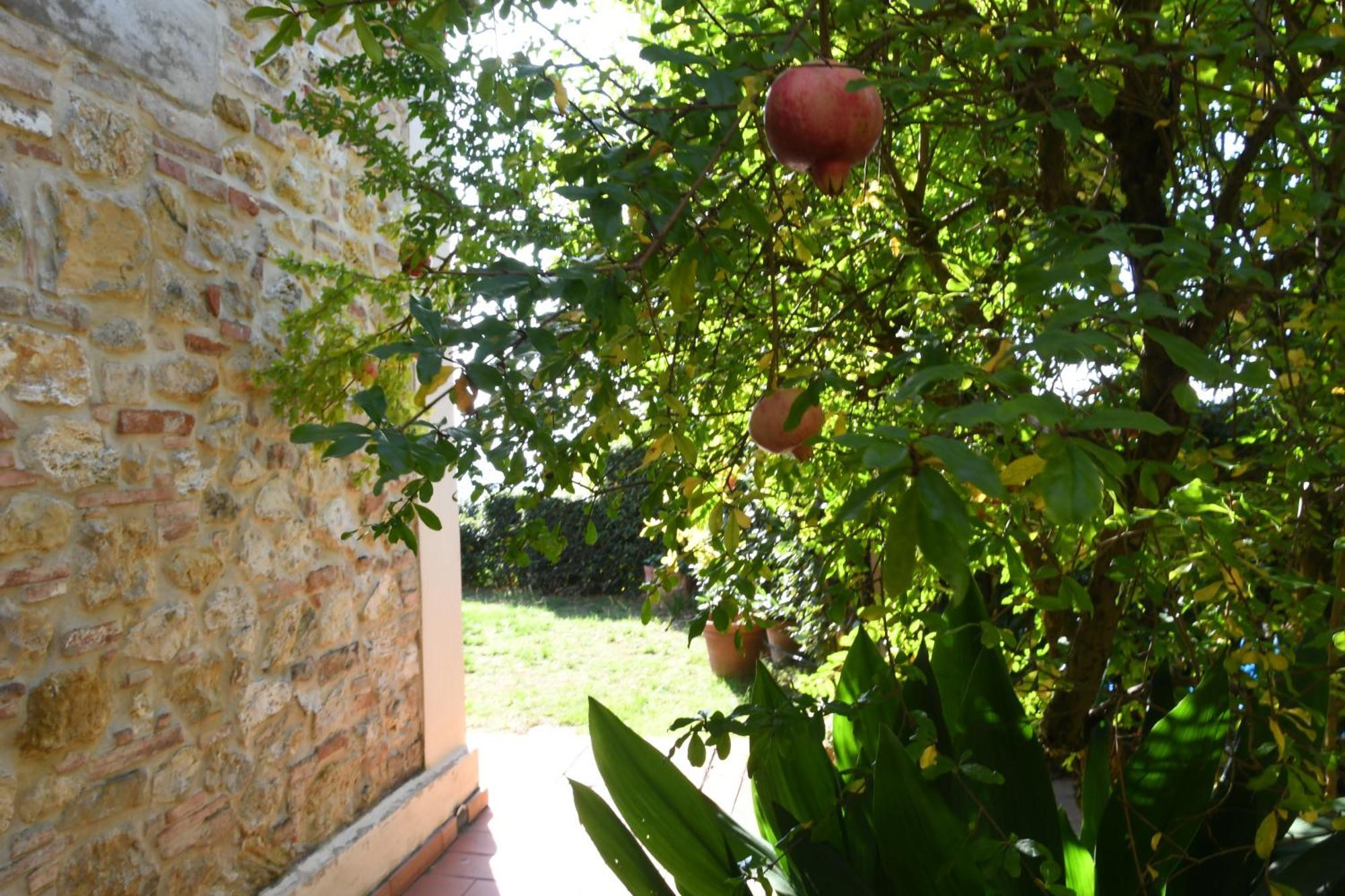 Podere Le Monache Montaione Bagian luar foto
